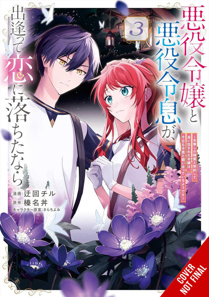 If Villainess & Villain Met & Fell In Love Graphic Novel Volume 03