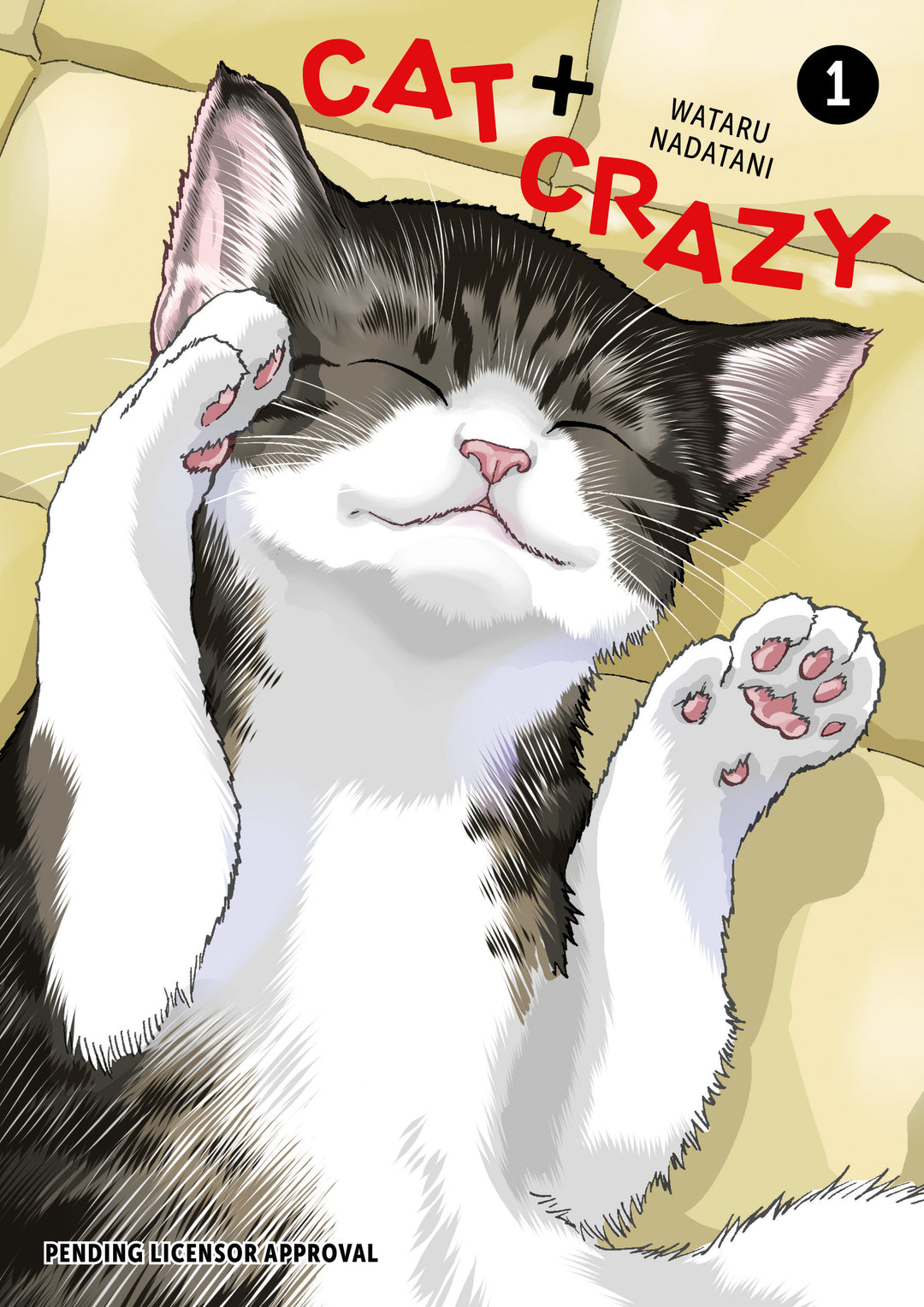 Cat + Crazy Graphic Novel Volume 01