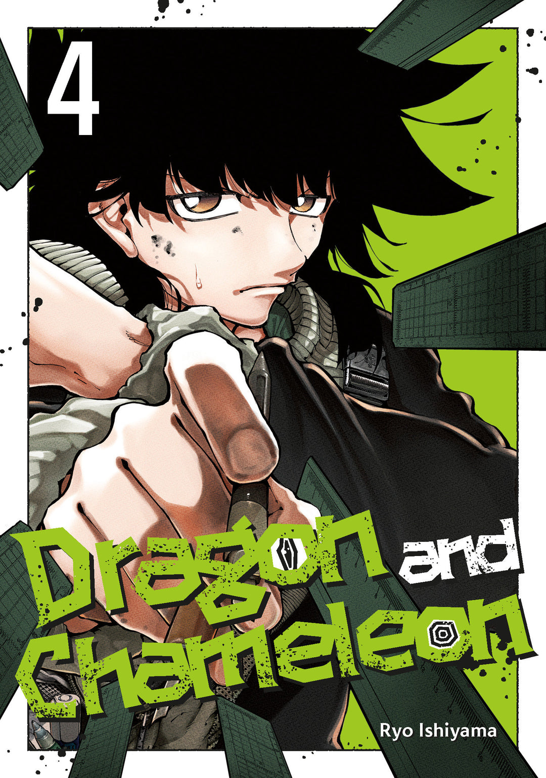 Dragon And Chameleon Graphic Novel Volume 04
