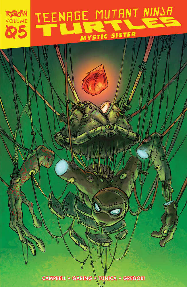 Teenage Mutant Ninja Turtles Reborn TP Vol 05 Mystic Sister