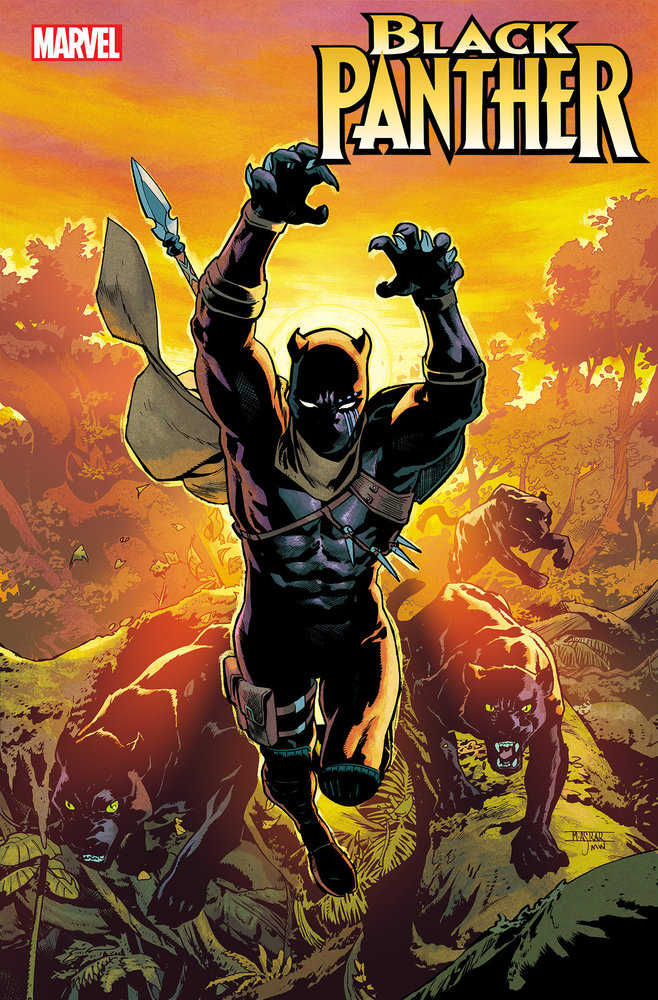 Black Panther #4 25 Copy Mahmud Asrar Variant