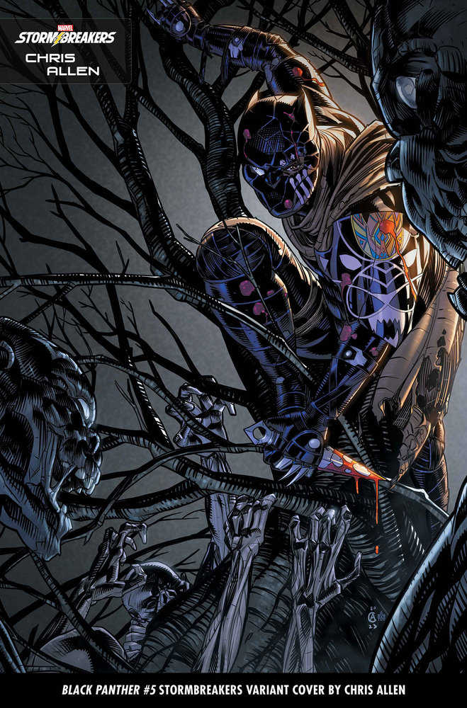 Black Panther #5 Chris Allen Stormbreakers Variant