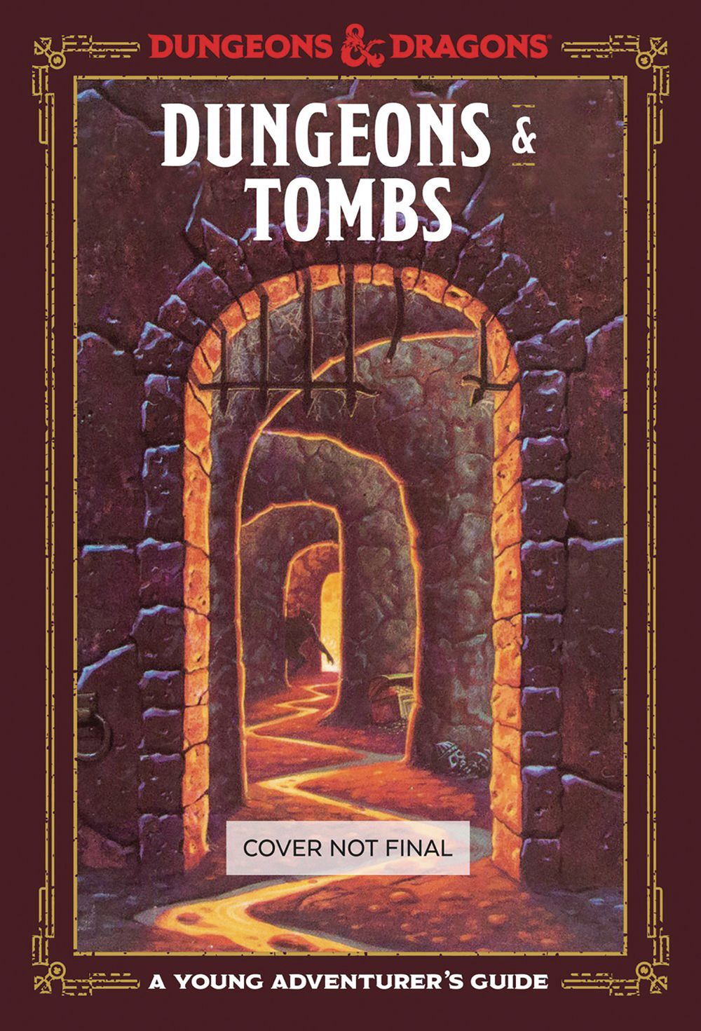 Dungeons & Tombs Young Adventurers Guide D&D HC