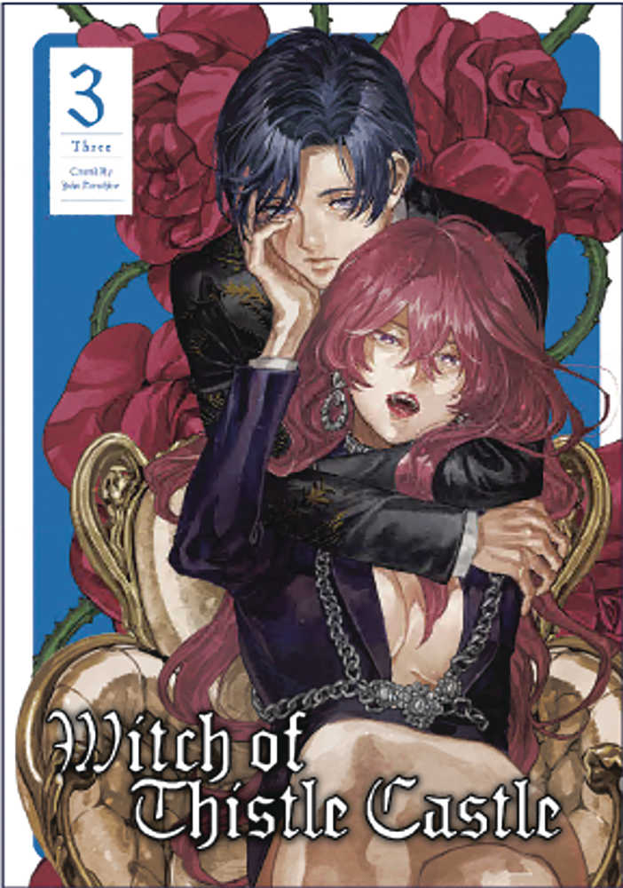 Witch Of Thistle Castle Graphic Novel Volume 03 (Mature)