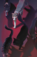 Feral #1 Cover E 1 in 25 Sweeny Boo Variant