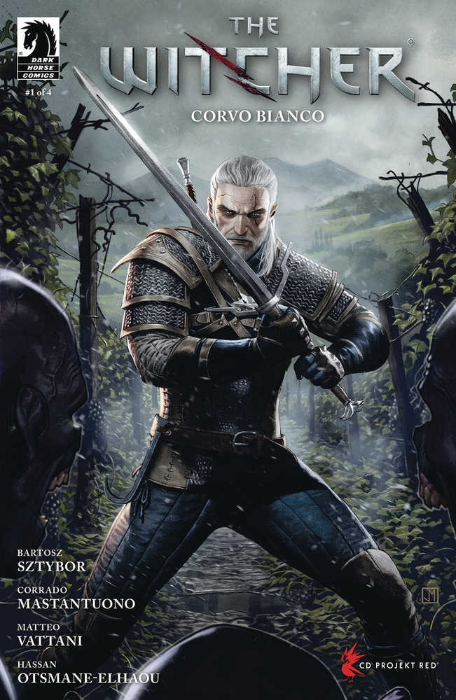 Witcher Corvo Bianco #1 Cover D Molina