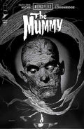 Universal Monsters The Mummy #2 (Of 4) Cover D 1 in 25 Ryan Sook Black & White Classic Horror Variant