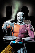 Justice League Unlimited #17 Cover C Brian Bolland Card Stock Variant