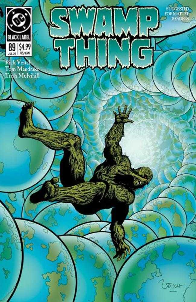 Swamp Thing 1989 #2 (Of 4) Cover A Rick Veitch (Mature