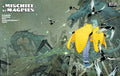 Mischief Of Magpies #1 Cover D Bilquis Evely 25 Copy Variant