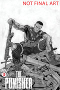 Marvel Knights Punisher #2 Francesco Mobili Variant