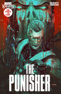 Marvel Knights Punisher #4 John Giang Variant