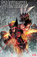 Wolverine #24 Adam Gorham 25 Copy Variant