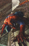 Amazing Spider Man #12 50 Copy Simone Bianchi Full Art Variant
