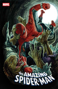 Amazing Spider Man #13 Lee Bermejo Amazing Visions Variant