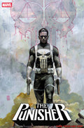 Punisher #2 25 Copy Alex Maleev Variant