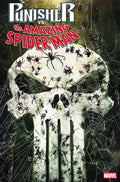 Punisher vs Spider-Man #2 Rod Reis Variant
