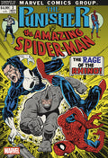 Punisher vs Spider-Man #3 Erik Larsen Variant