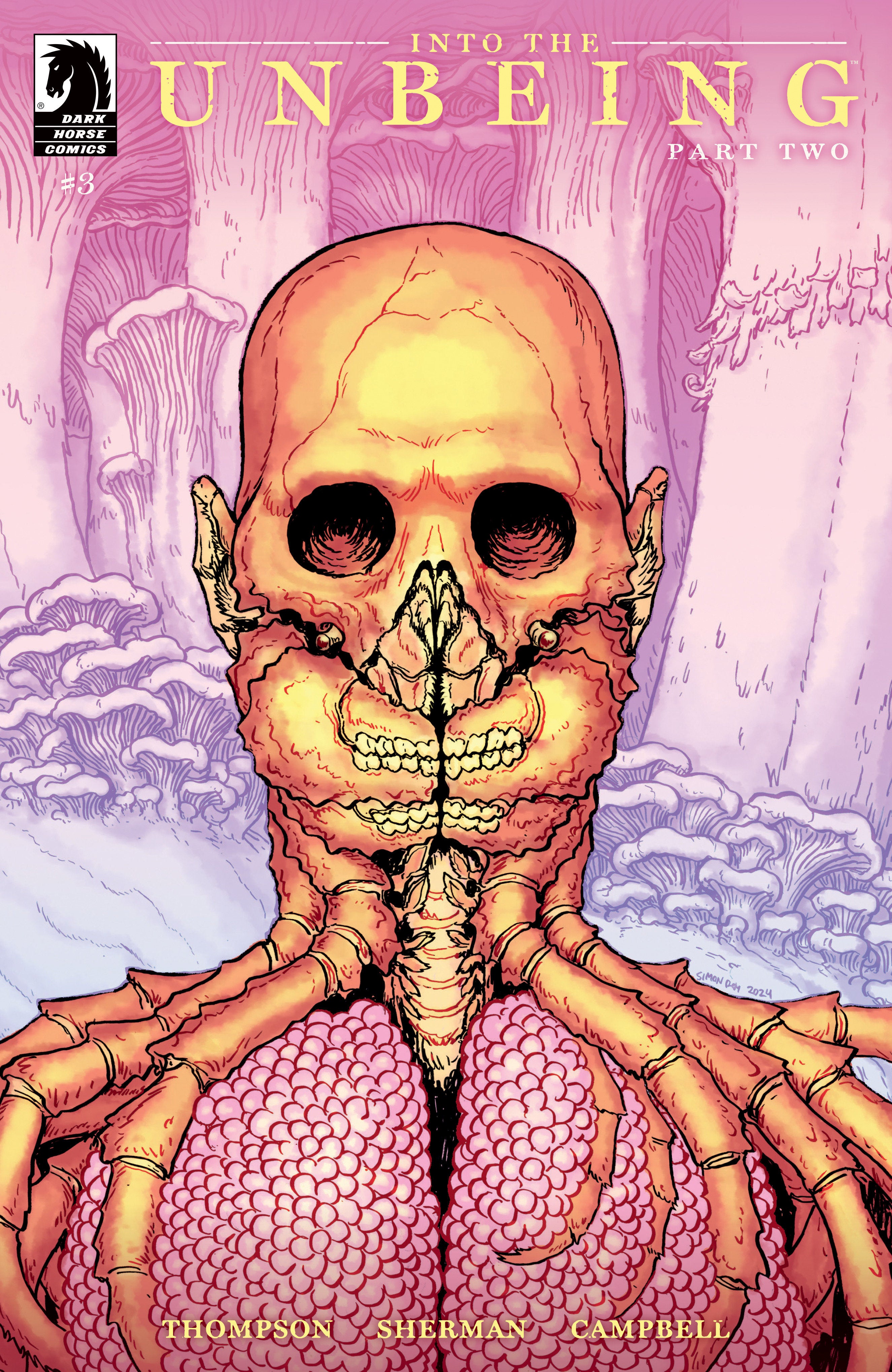 Into The Unbeing Part Two #3 Cover B Roy