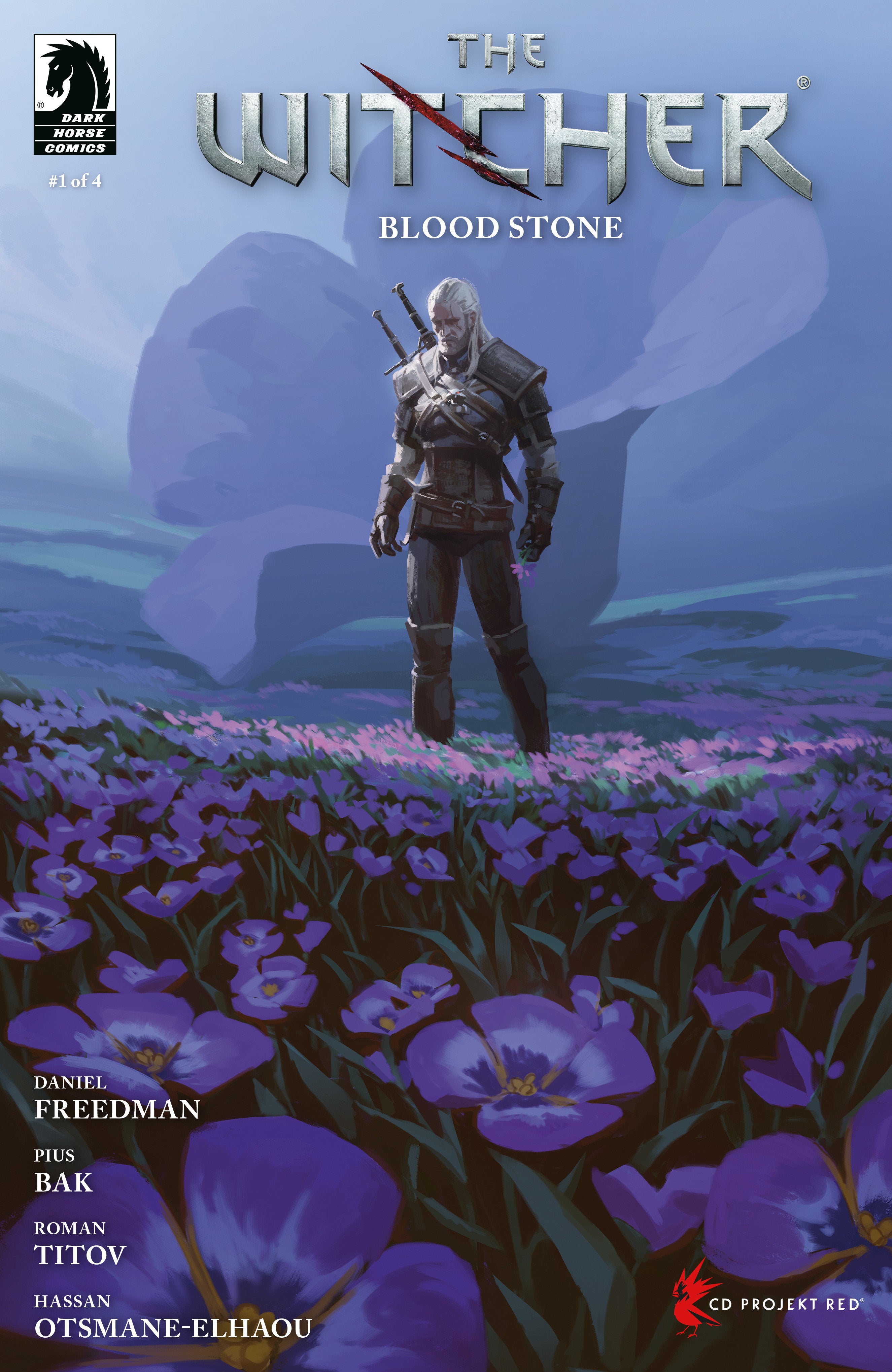 Witcher Blood Stone #1 Cover C Sauerwald