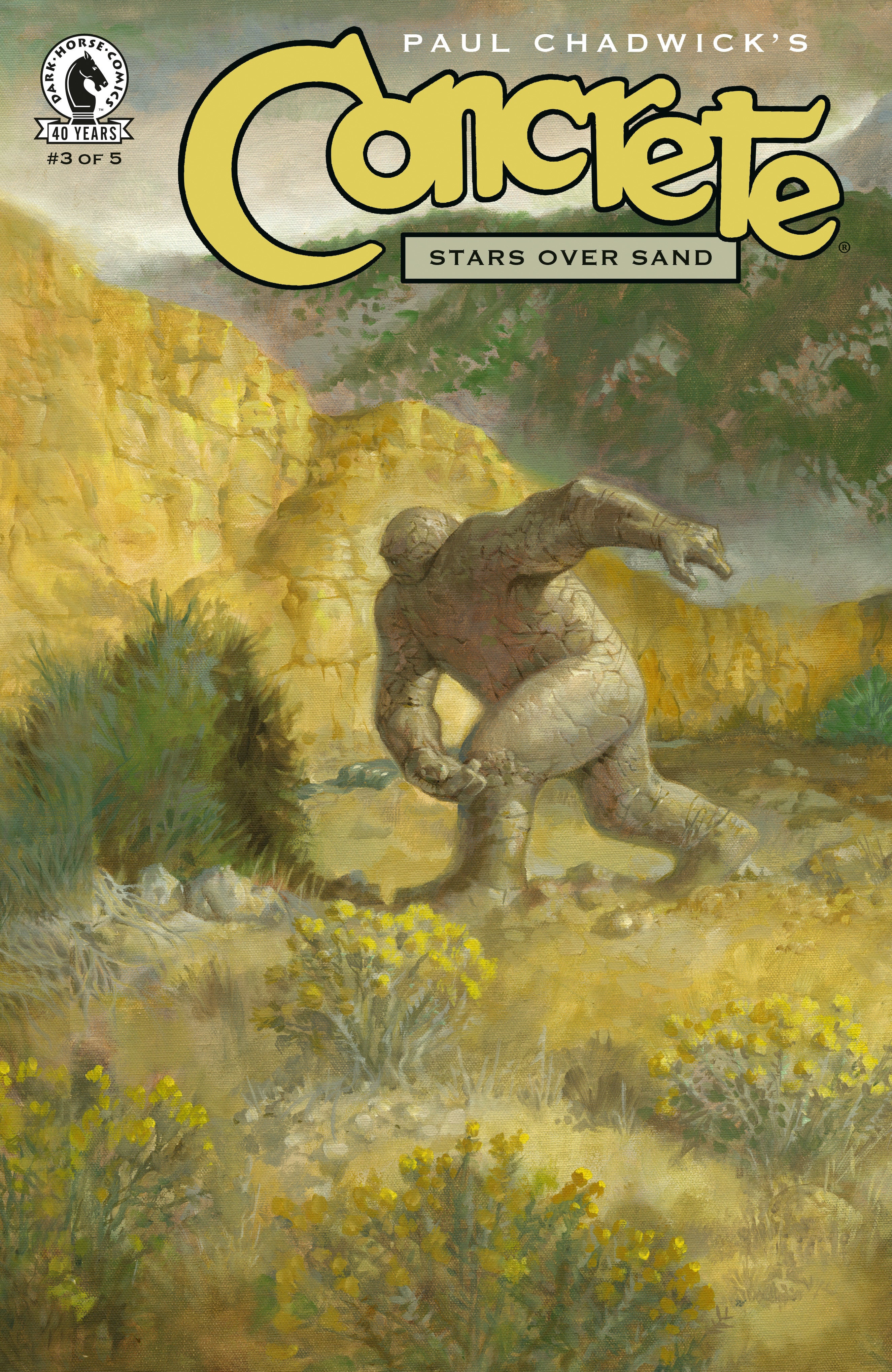 Concrete Stars Over Sand #3 Cover A Paul Chadwick)