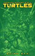 Teenage Mutant Ninja Turtles #13 Cover F Blind Bag