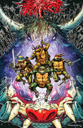 Teenage Mutant Ninja Turtles #13 25 Copy Eastman Full Art Variant