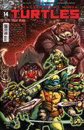 Teenage Mutant Ninja Turtles #14 Cover B Eastman