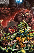 Teenage Mutant Ninja Turtles #14 25 Copy Eastman Full Art Variant