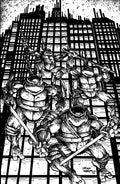 Teenage Mutant Ninja Turtles #20 300th Issue Special Incentive Cover 25 Copy Eastman & Laird Full Art Black & White