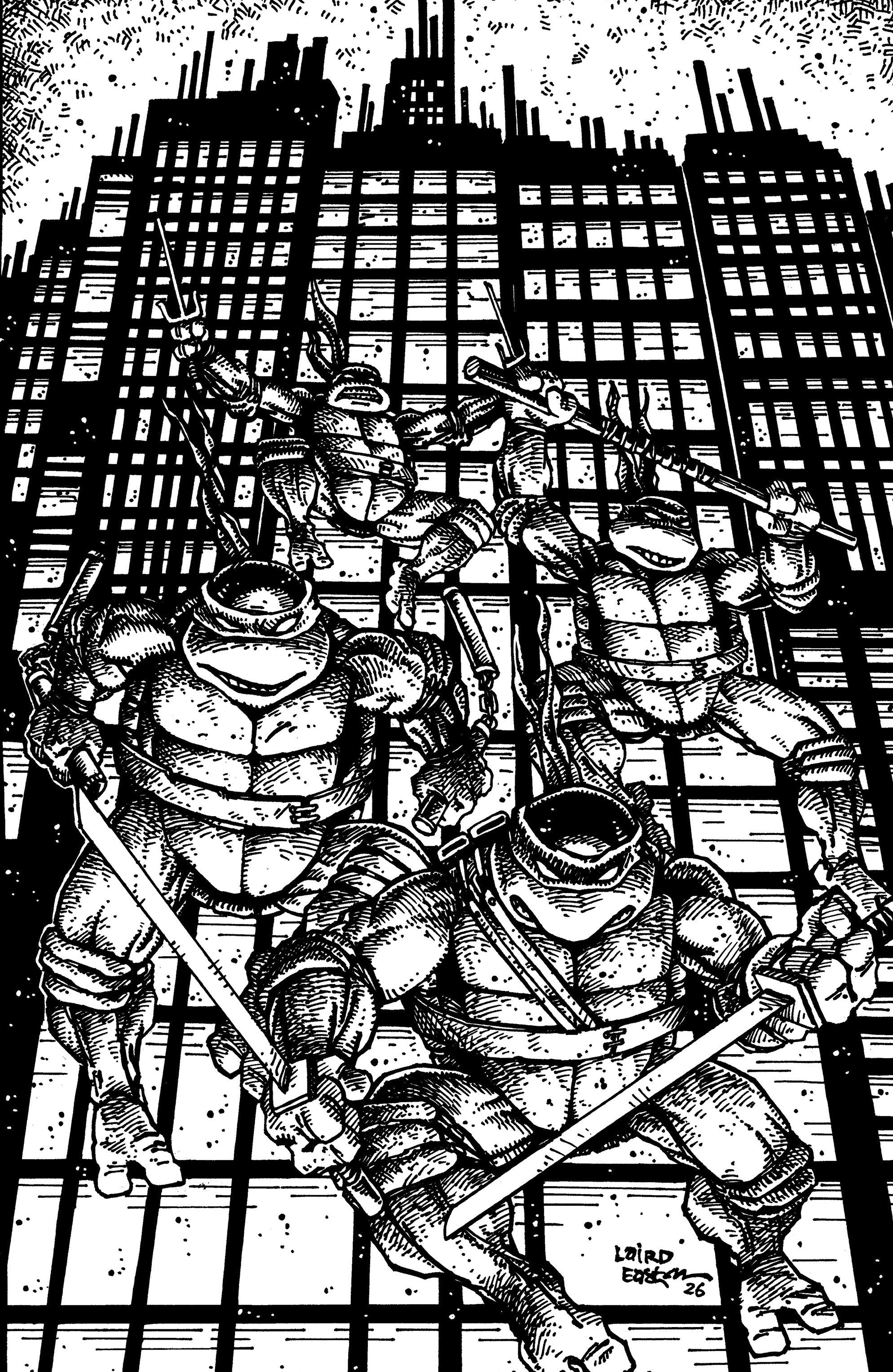 Teenage Mutant Ninja Turtles #20 300th Issue Special Incentive Cover 25 Copy Eastman & Laird Full Art Black & White
