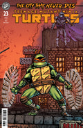 Teenage Mutant Ninja Turtles #23 Cover B Eastman & Bishop