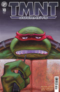 Teenage Mutant Ninja Turtles Journeys #10 Cover A Dooney