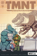 Teenage Mutant Ninja Turtles Journeys #14 Cover B Cafaggi