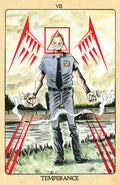 Minor Arcana #7 Cover D 10 Copy Tarot Card