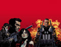 Marvel Knights Punisher TPB