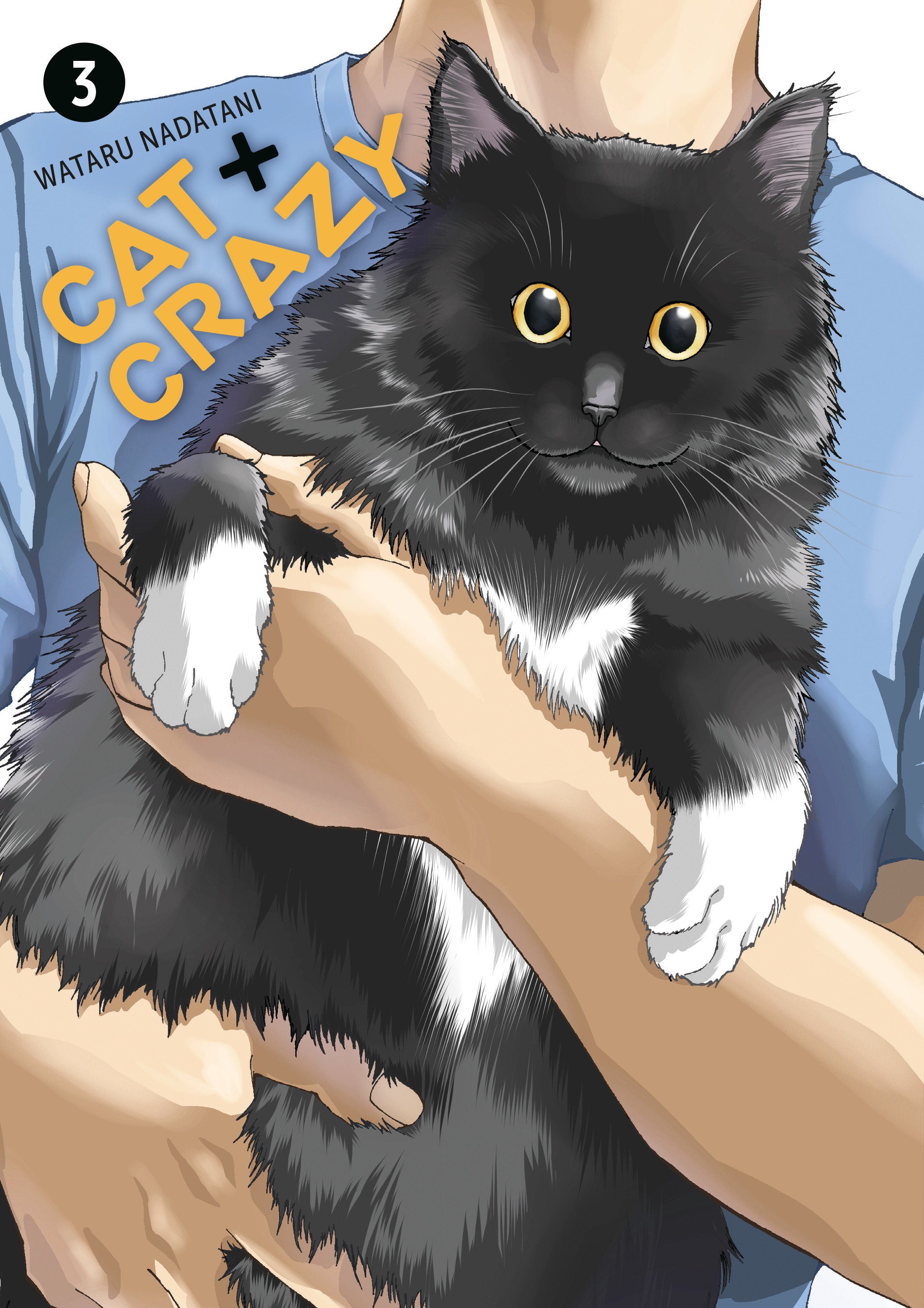 Cat + Crazy Graphic Novel Volume 03
