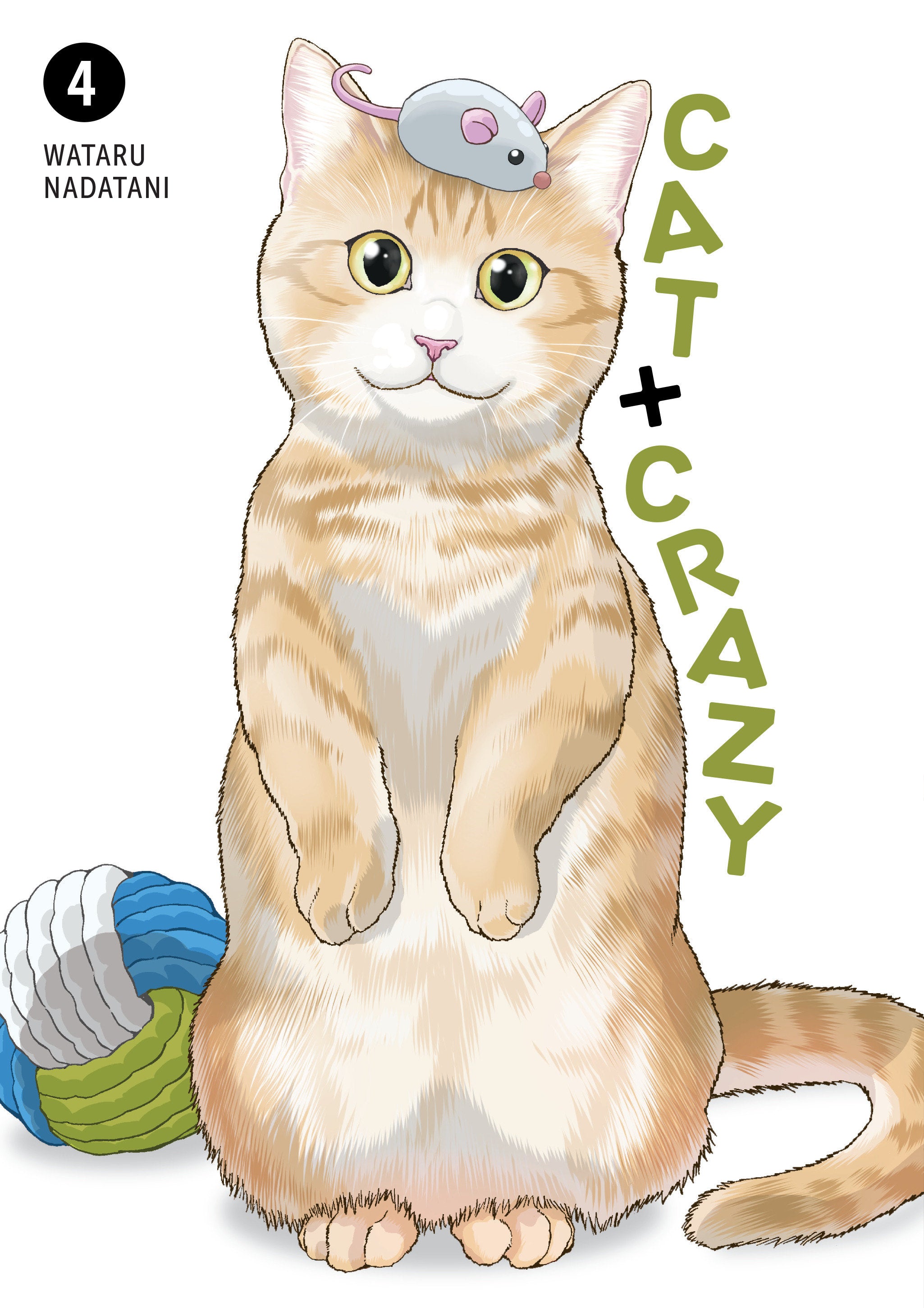 Cat + Crazy Graphic Novel Volume 04