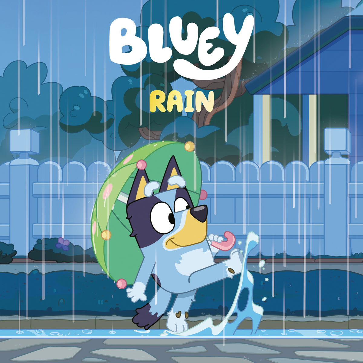 Bluey Rain Hardcover
