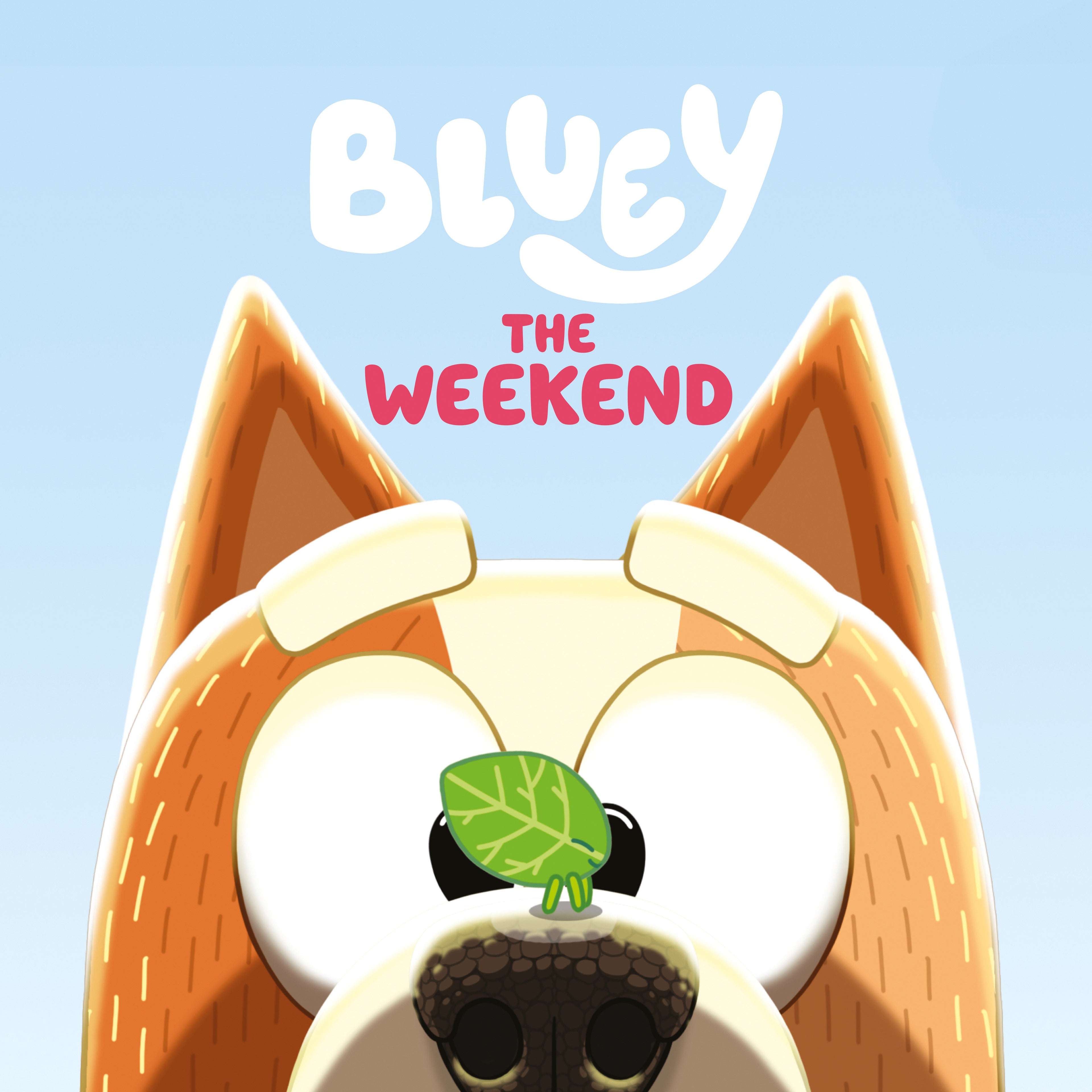 Bluey The Weekend Softcover