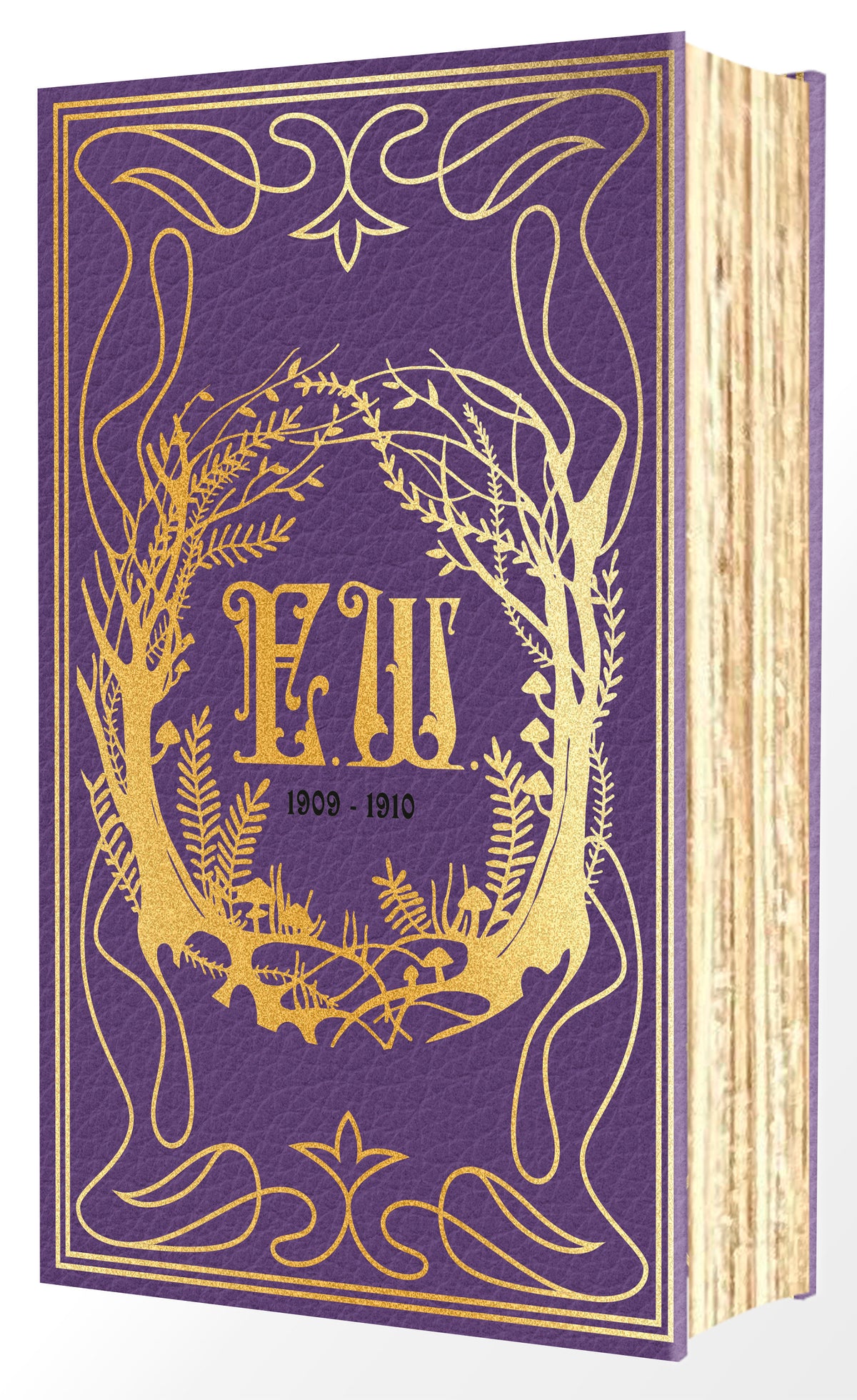 Emily Wildes Encyclopaedia Of Faeries Deluxe Edition Hardcover