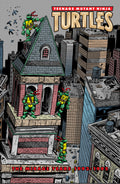 Teenage Mutant Ninja Turtles Mirage Years 1993–1995 Hardcover