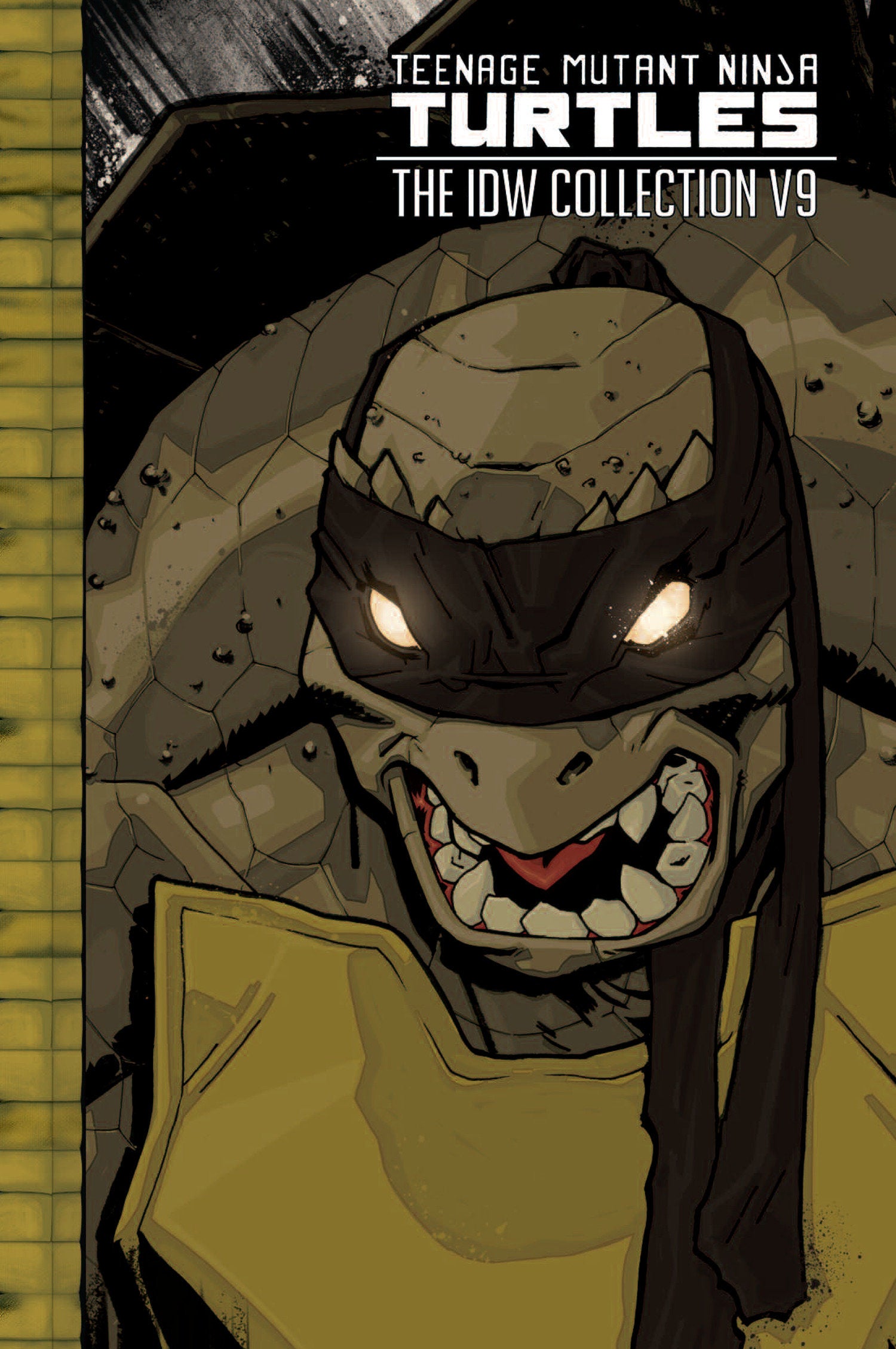 Teenage Mutant Ninja Turtles Idw Collection TPB Volume 09