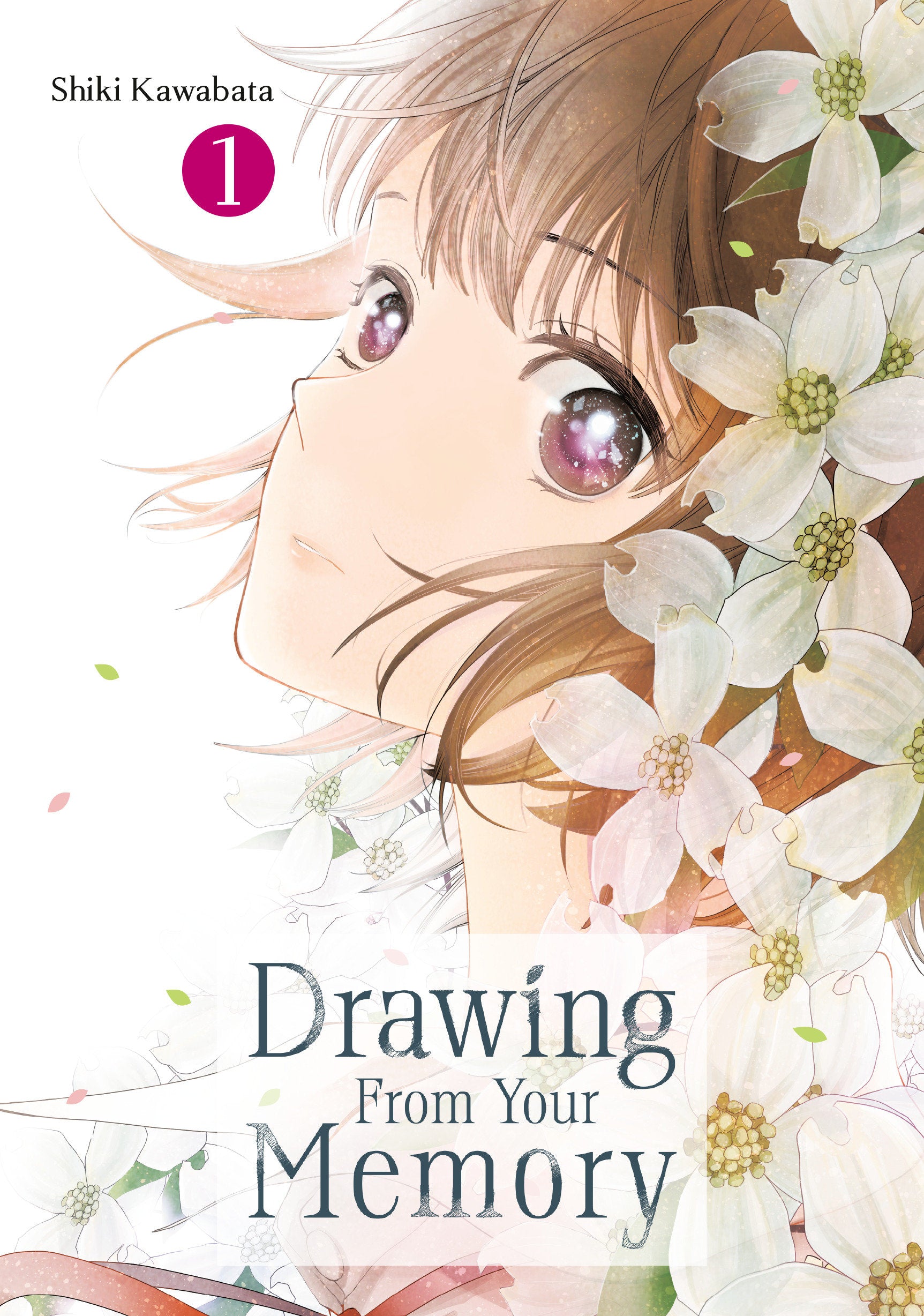 Drawing From Your Memory Graphic Novel Volume 01