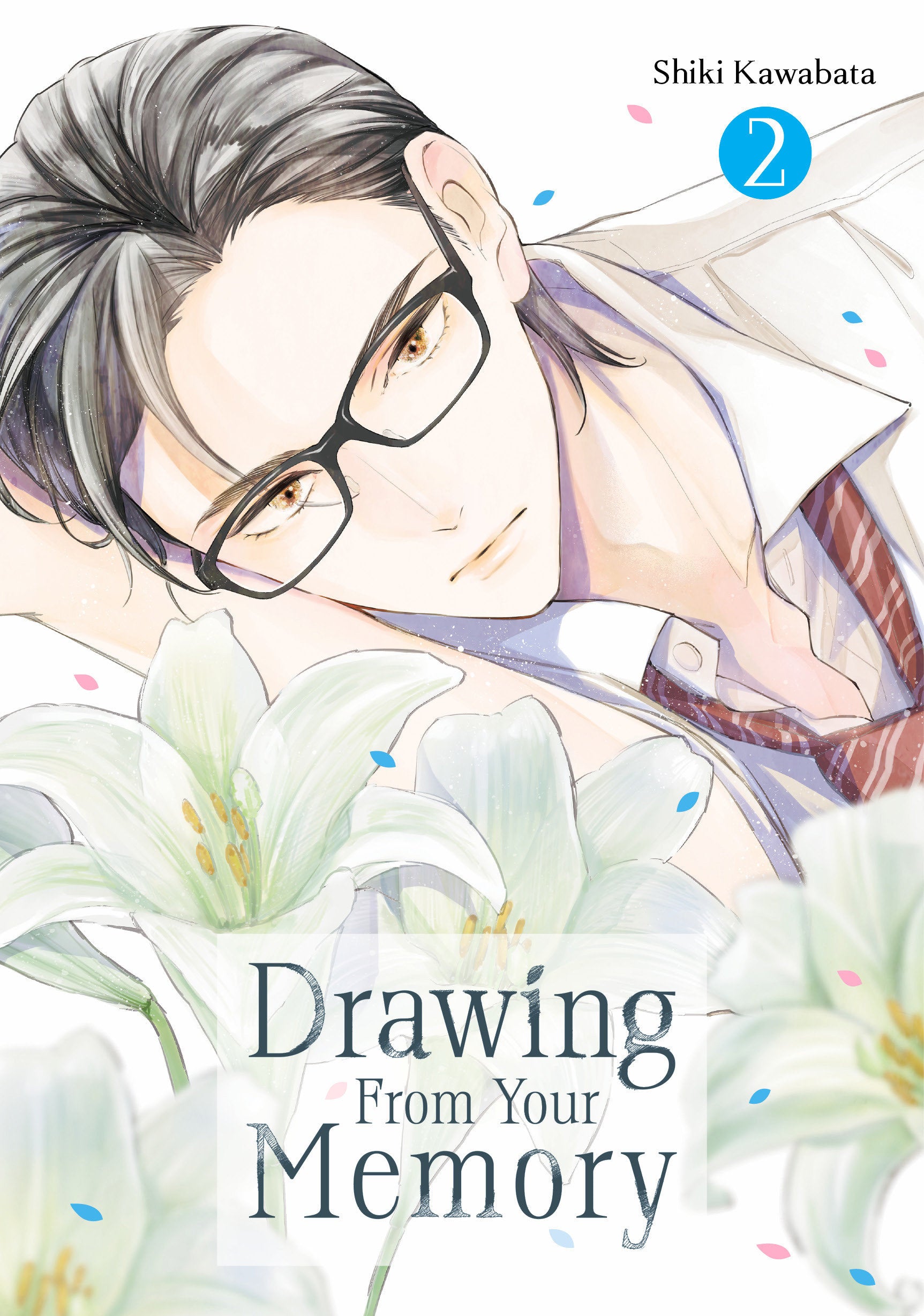 Drawing From Your Memory Graphic Novel Volume 02