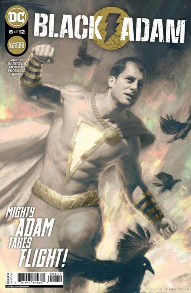 Black Adam #8 (Of 12) Cover A Irvin Rodriguez