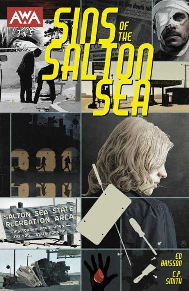Sins Of The Salton Sea #3 (Of 5) Cover A Tim Bradstreet (Mature)
