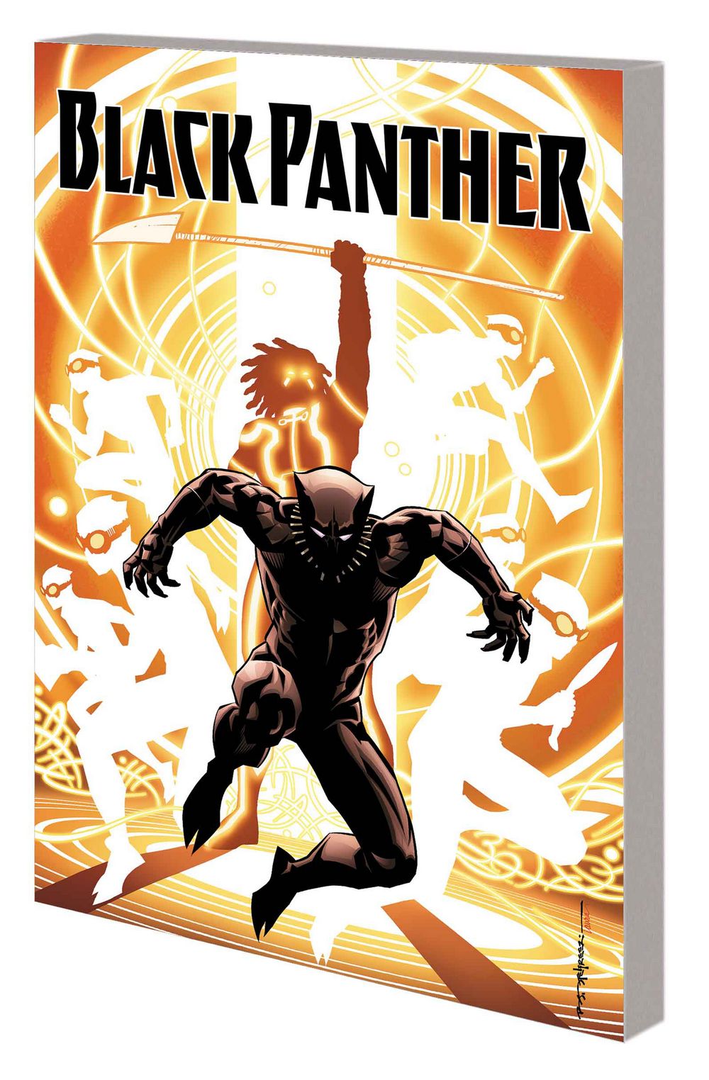 Black Panther TP Book 02 Nation Under Our Feet Part 2