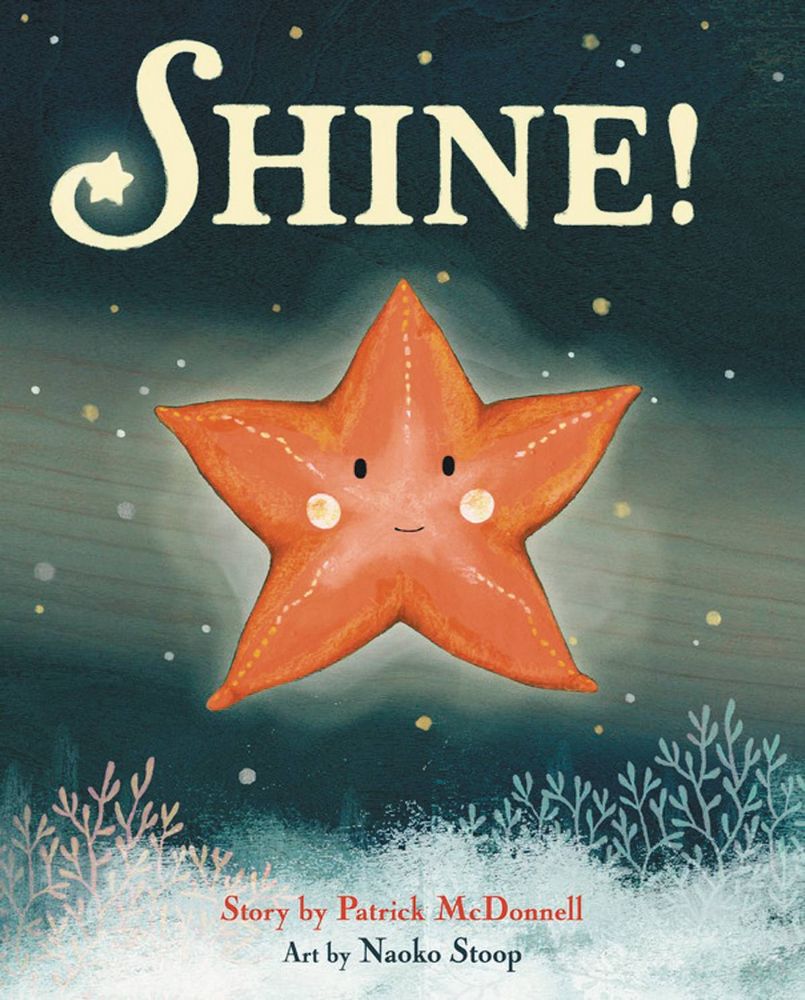 Shine Picture Book