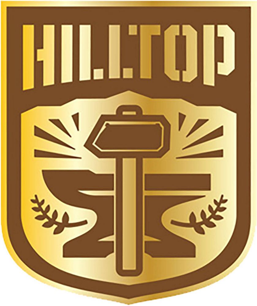 Walking Dead Hilltop Faction Pin